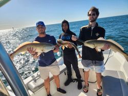 Inshore Fishing Charter For Redfish