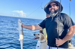 Atlantic Sharpnose Shark caught while fishing in Englewood