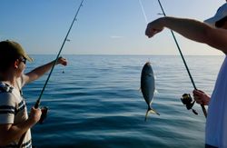 Blue Runner fish caught while fishing in FL