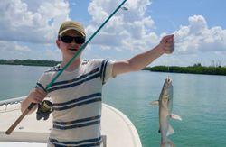Hardhead sea catfish caught while fishing in FL