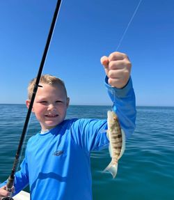 Sand perch caught while fishing in Englewood FL waters