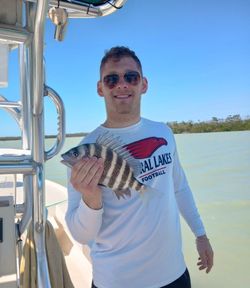 Sheepshead caught while fishing in FL