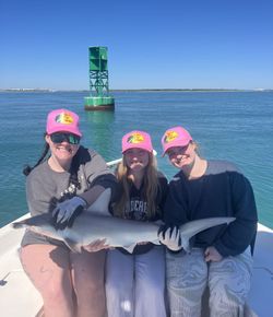 Angler with a 22-inch Atlantic Sharpnose Shark in Orlando, Florida.