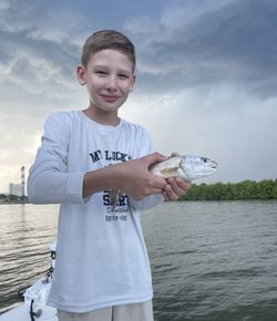 Angler fishing in Orlando