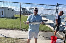 A large king mackerel caught while fishing in FL