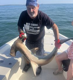 Bonnethead shark fishing in FL