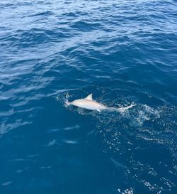 A fishing trip in Orlando, Florida