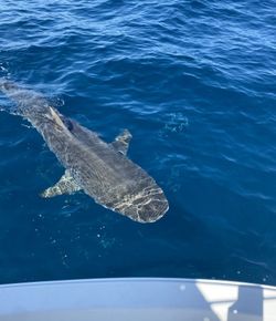 A fishing trip in Orlando, Florida