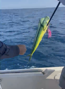 A fishing trip in FL