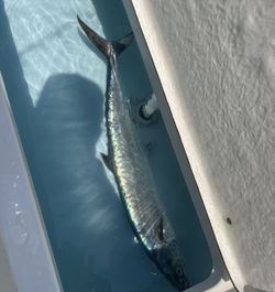 A fishing trip in Florida