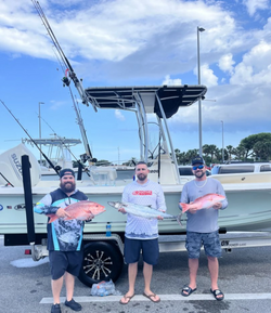 Two king mackerel, 24 inches long, caught while fishing in Orlando