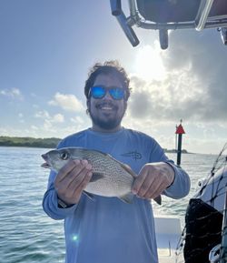 Mutton Snapper fish caught while fishing in Orlando