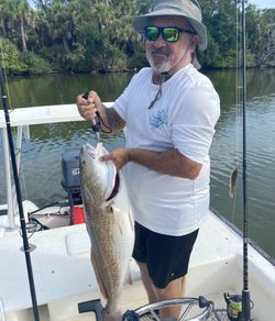 A redfish caught by an angler in Florida