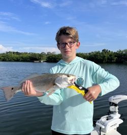 Redfish, 18 inches, caught while fishing in Orlando