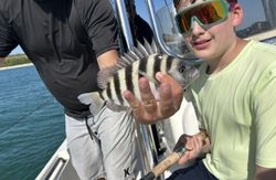 Sheepshead fish caught while fishing in FL