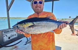 Yellowfin Tuna Fish Caught in FL