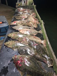 Flounder catch—showing off today’s best! 