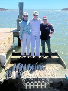 Redfish, sheepshead? Got 'em right here in Texas