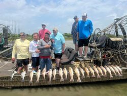 Early limit reached in Texas
