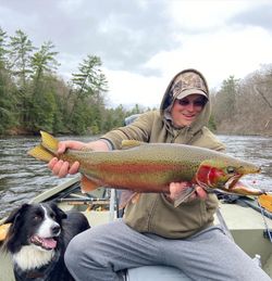 Photograph of a 30-inch pink salmon caught while fishing in Stanwood.