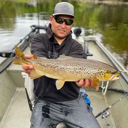 Michigan Fly Fishing For Trout
