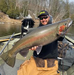 Catch of the day - a beautiful pink salmon from MI