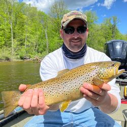 Angler catching a sea trout in Michigan