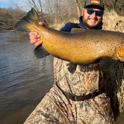 Angler fishing in MI