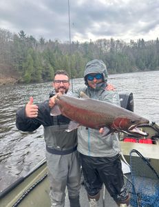 Angler holding a 29-inch rainbow trout in Stanwood
