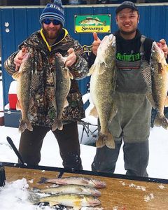 6 walleye and sauger fish caught in MI