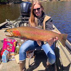 Rainbow trout caught in MI