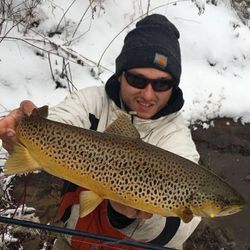A lone brook trout caught in Stanwood
