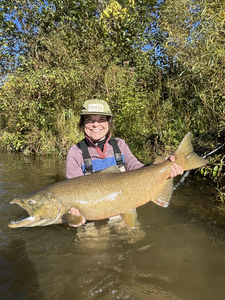 Nice bull trout on the fly! Clear conditions made for an exciting day on the water.