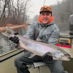 Chinook Salmon caught while fishing in MI