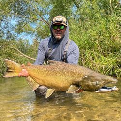 Chinook Salmon caught while fishing in MI