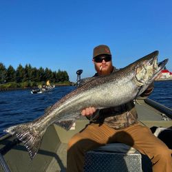 Chinook Salmon caught by a person in Stanwood