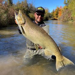 Chinook Salmon, a 28-inch fish, caught in Stanwood
