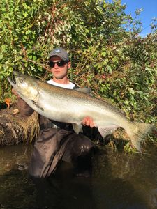 Chinook Salmon, 38-inch fish caught by 3 people in Stanwood