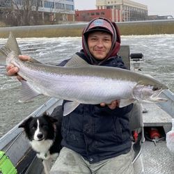 Chum salmon caught in MI by a lone fisherman