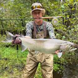 Coho salmon caught while fishing in Stanwood