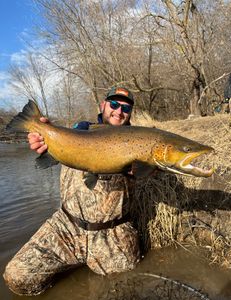 Fishing in MI