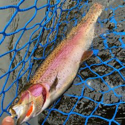 A fishing trip in Michigan