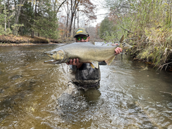 Great catch on the fly! Cloudy afternoon made for perfect fishing conditions.