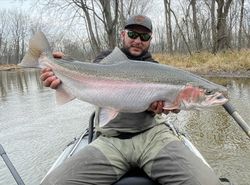 Image of a 33-inch pink salmon caught while fishing in MI