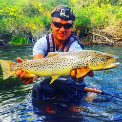 A big 27-inch fish caught by two anglers in Stanwood