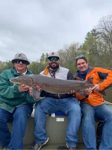 A huge lake sturgeon caught in Stanwood during fishing