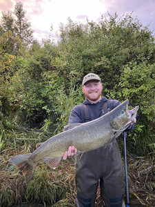 Nice lake trout on the fly in Stanwood! Perfect partly cloudy conditions made for an exciting day on the water.
