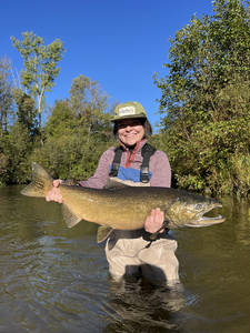 Nice lake trout on the fly in clear conditions!