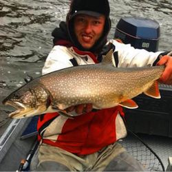 A large lake trout caught in Stanwood
