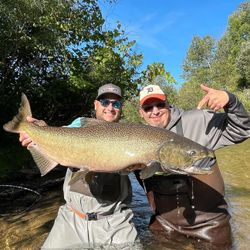 Large fish caught by two anglers in Stanwood